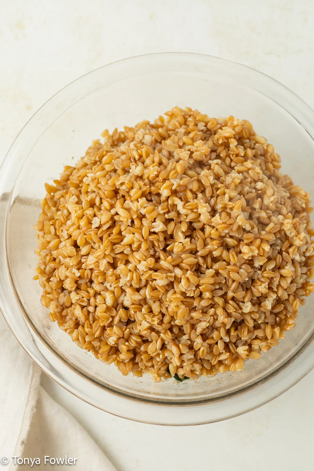 Cooked einkorn wheat berries in a bowl.