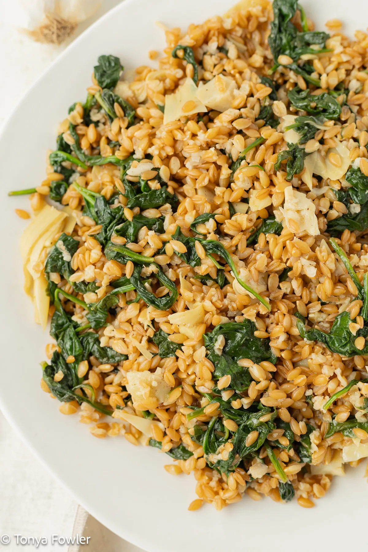 Warm einkorn spinach salad on a plate. 