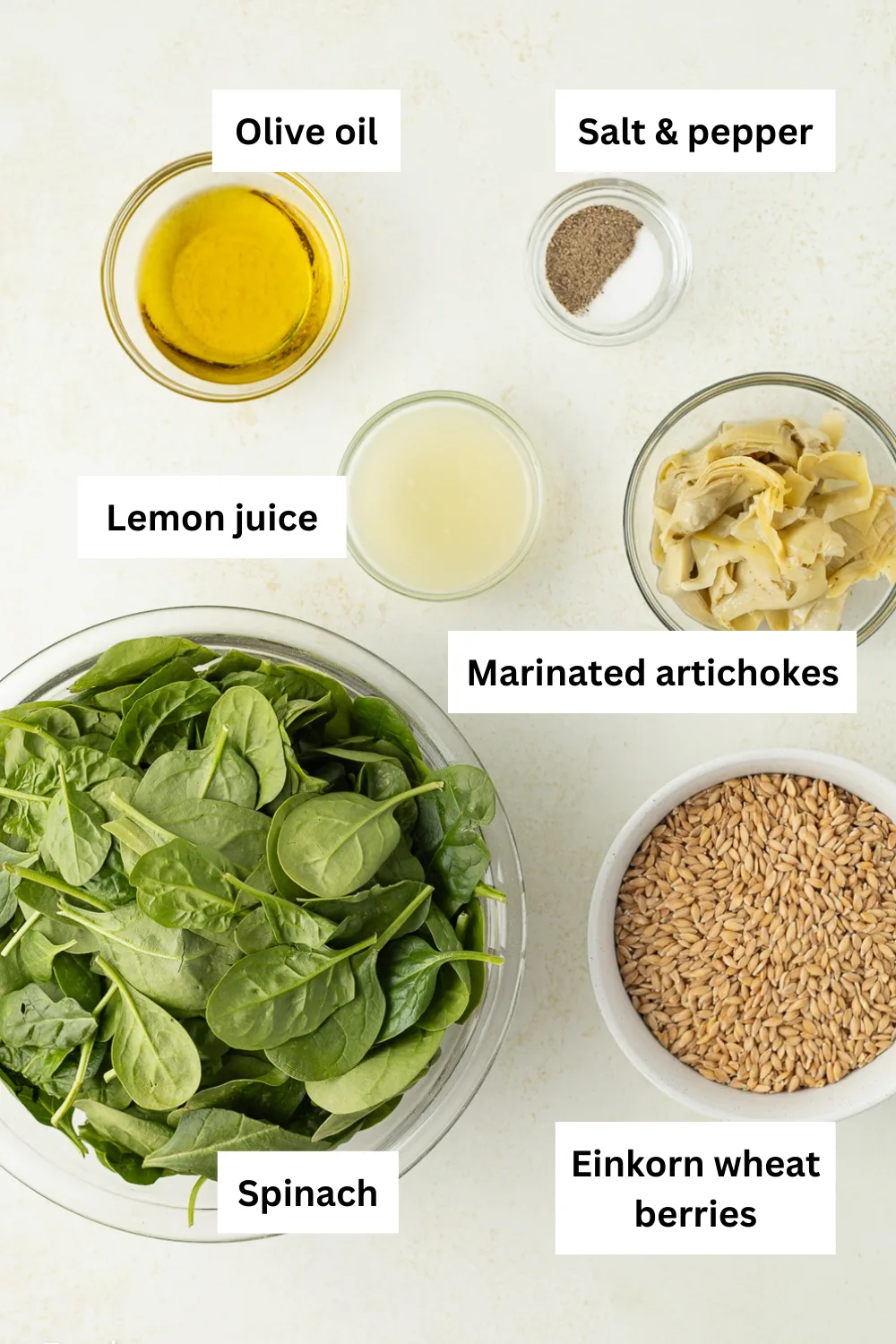 Einkorn spinach salad ingredients infographic.